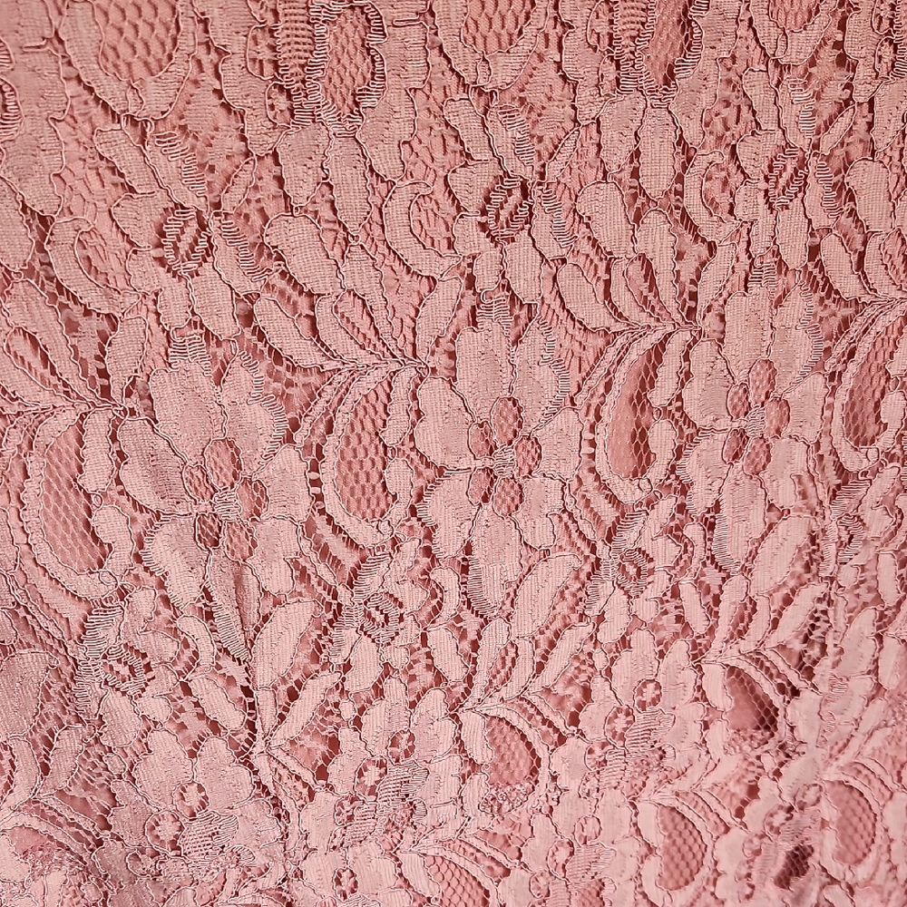 Delicate Dusty Pink Lace Dress Size S - Picture 3 of 16